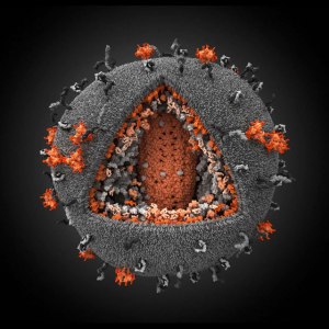 Virus sida en 3D